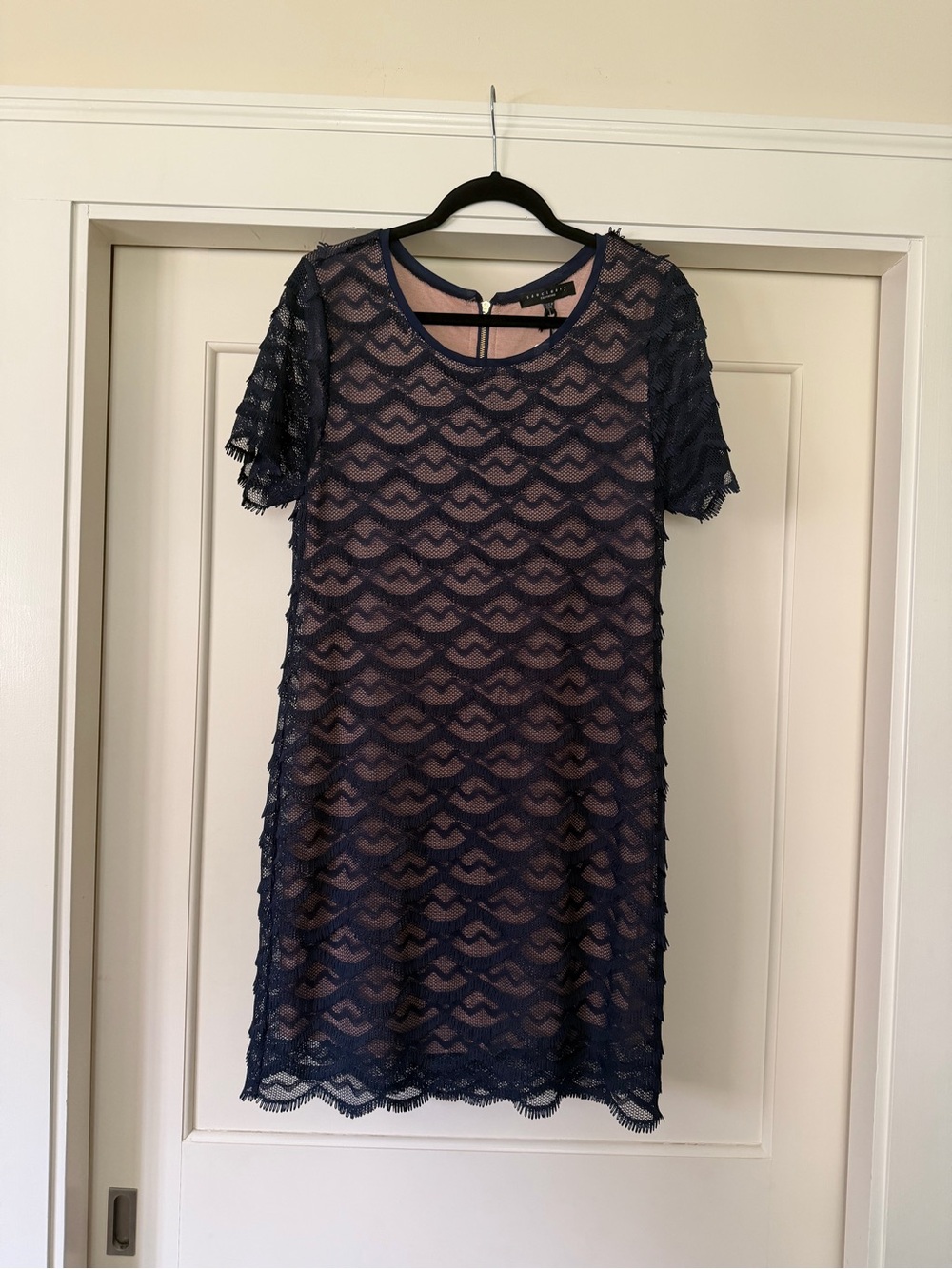 Sanctuary First Peek Dress Navy Fringe Lace Blush Lining Shift L NWT